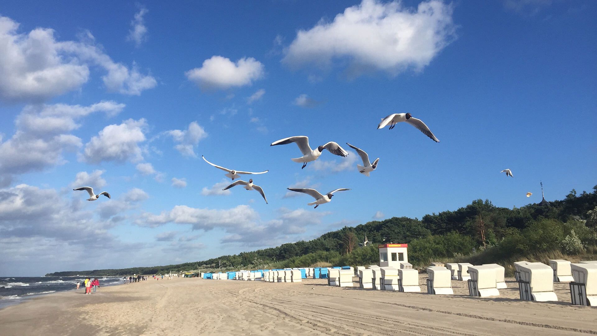 Strand Zinnowitz auf Rügen